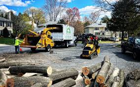 Trusted West Vero Corridor, FL Tree Removal and Landscaping Services Experts